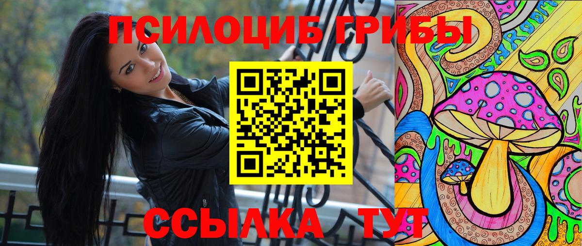 Галлюциногенные грибы Psilocybe Тавда