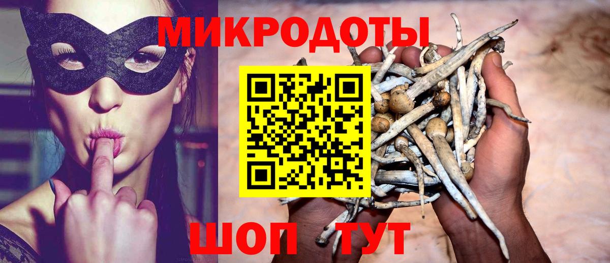 продажа наркотиков  Галлюциногенные грибы GOLDEN TEACHER  Вход с VPN  Тавда 